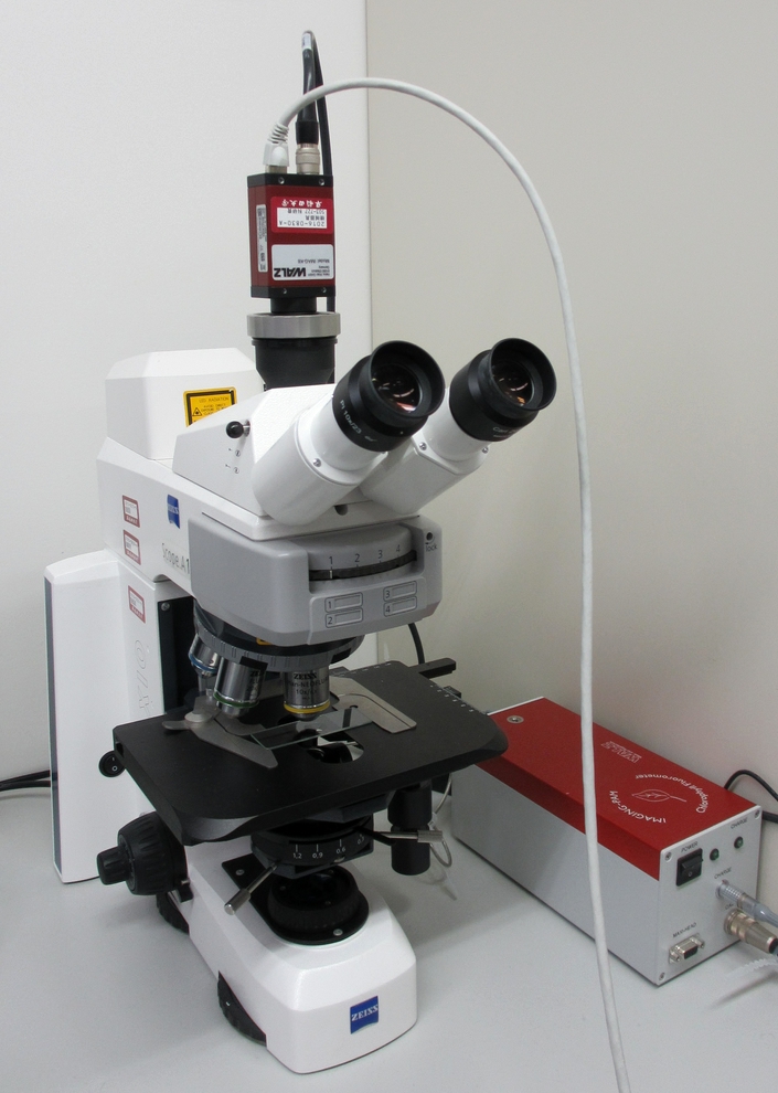 顕微イメージングPAM (Imaing PAM Microscopy)