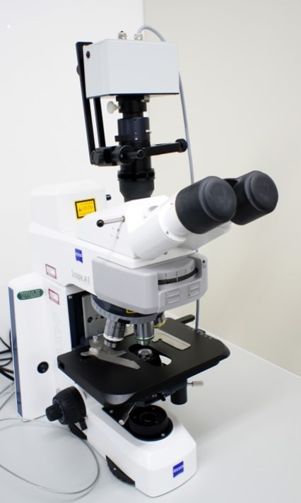 顕微PAM (Microscopy PAM)